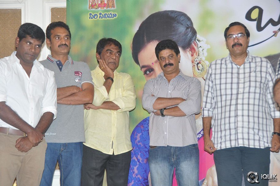 Brother-Of-Bommali-Movie-Success-Meet
